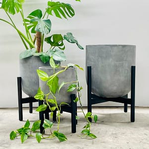 Mid Century Inspired Timber Pot Stands