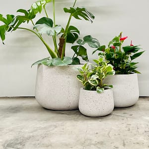Short Rounds - Poly Terrazzo, Pots for plants