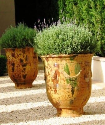 Garden Pots & Planters