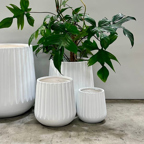 Fluted Rounds - QuarterLite